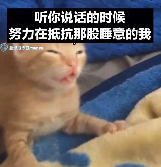 啊？是（9gag）今日meme 今日memes