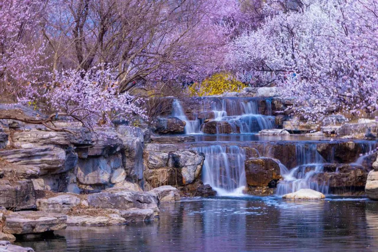 人生如戏，笑看风云变幻；心如止水，静观世间沧桑。