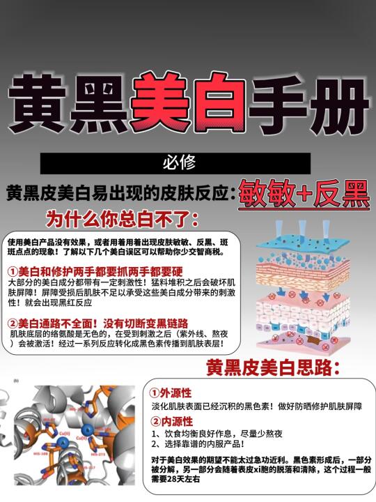 捋顺美白底层逻辑！为什么你总是白不了？