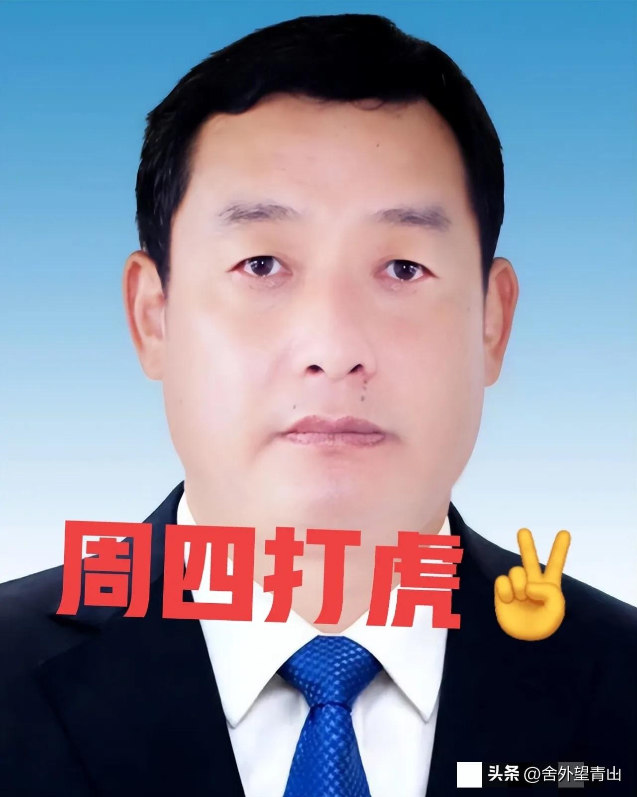 就在刚刚，看了新京报新闻，“包华”被查，于是看了一下他的工作履历，53岁的他获得