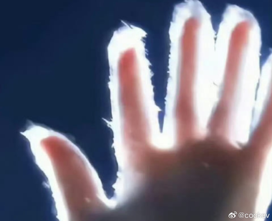 “刘亦菲这个手套，据说是她妈妈用透明银丝线纸织出来的，没认真看还以为是平时一次性