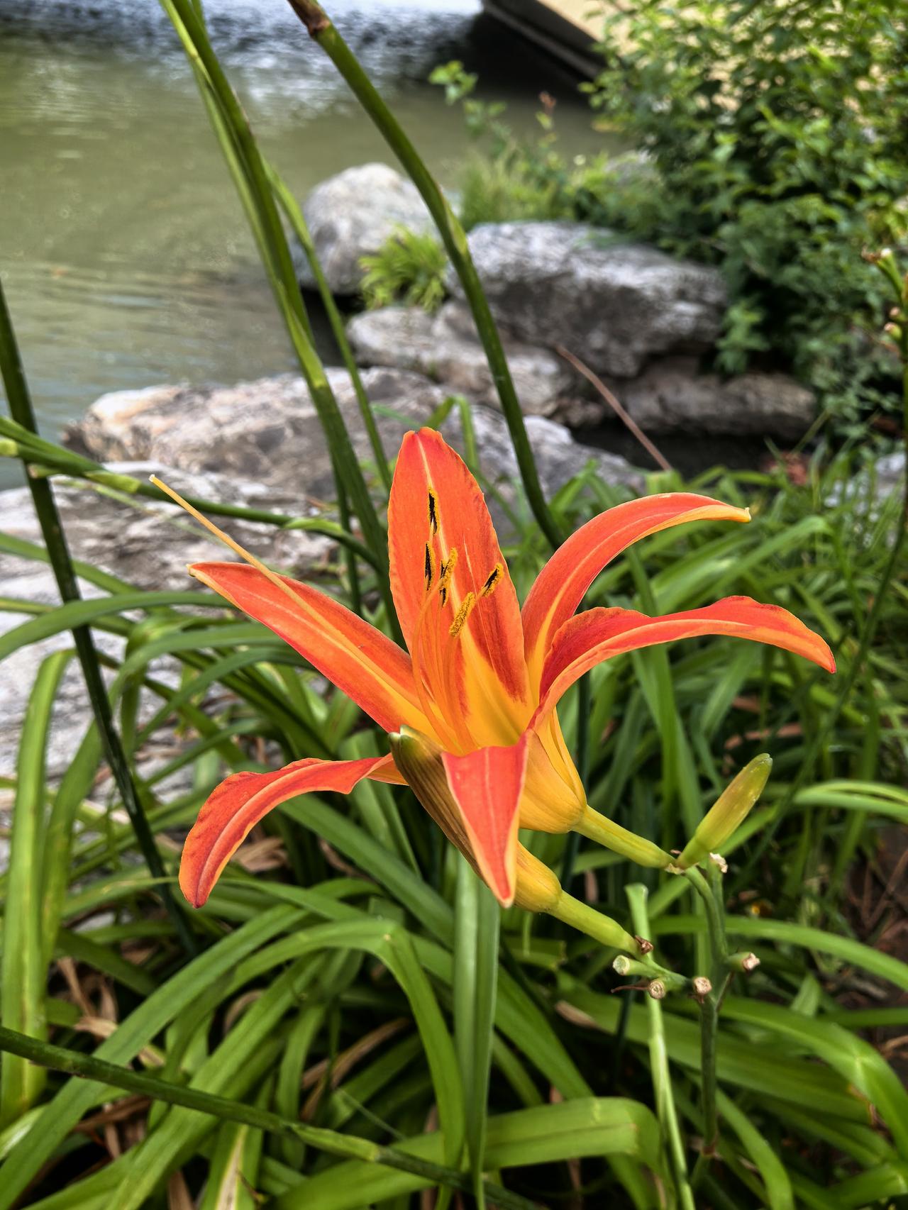 《蝶恋花·阅尽天涯离别苦》

一一王国维（近现代）

阅尽天涯离别苦，

不道归