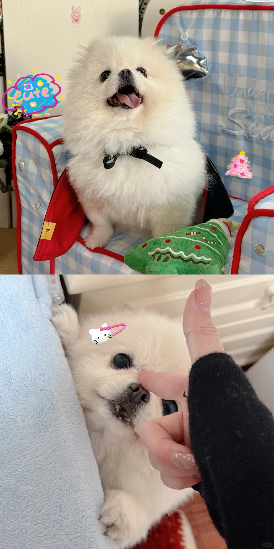 闺女就是可爱✧٩(ˊωˋ*)و✧