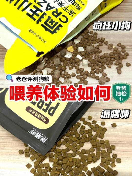 从派膳师换到疯狂小狗的真实喂养体验...