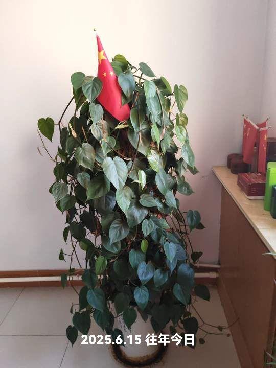 往年今日