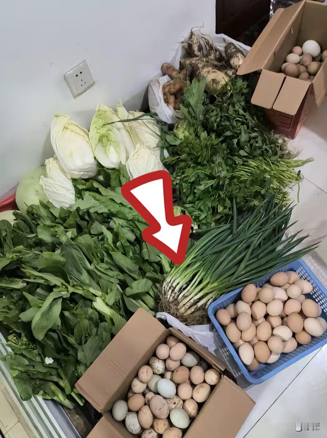 婚后最治愈人心的幸福感，
从来不是轰轰烈烈的惊喜，
而是细水长流的偏爱。我婚后没