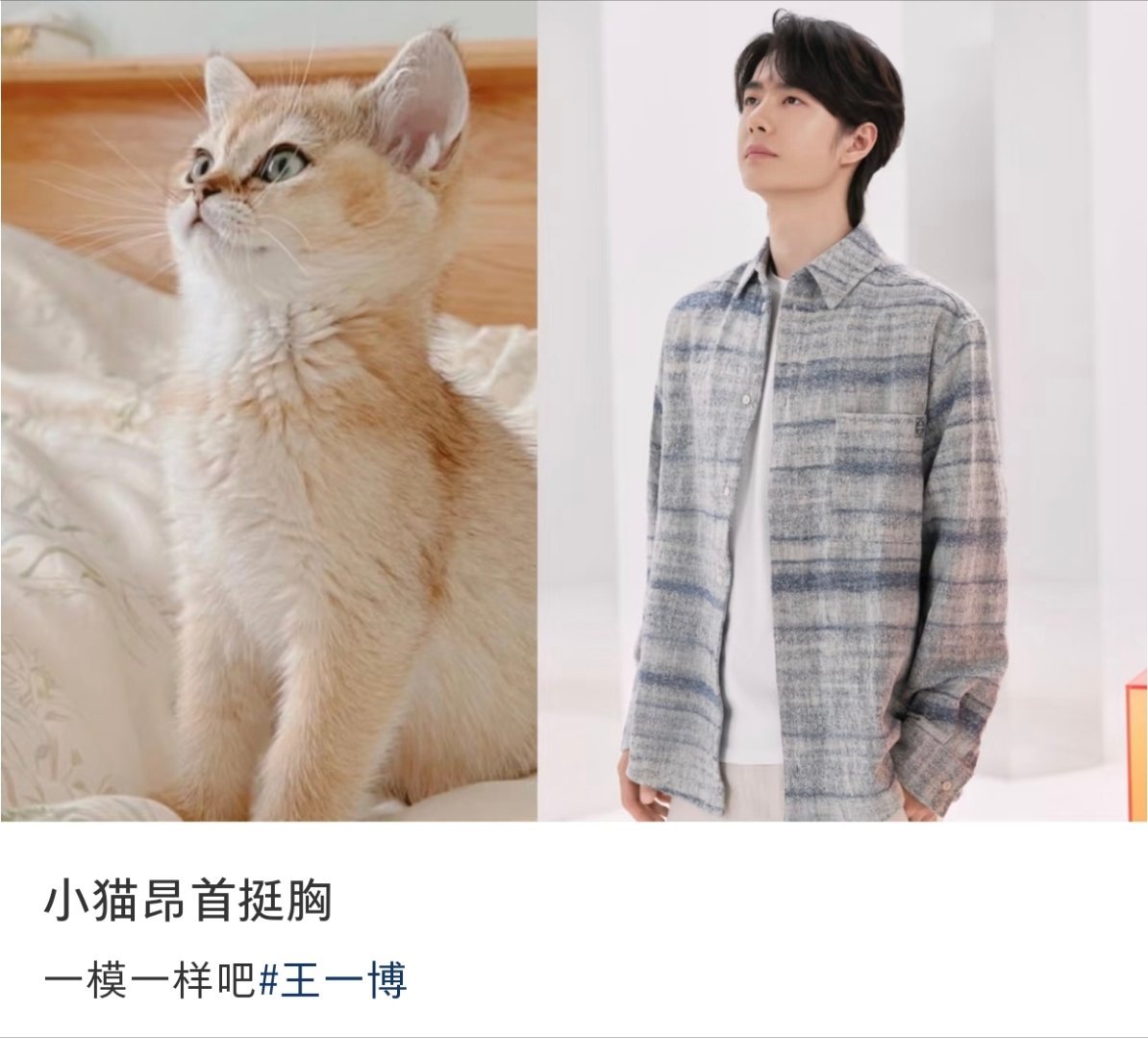 可可爱爱！！！