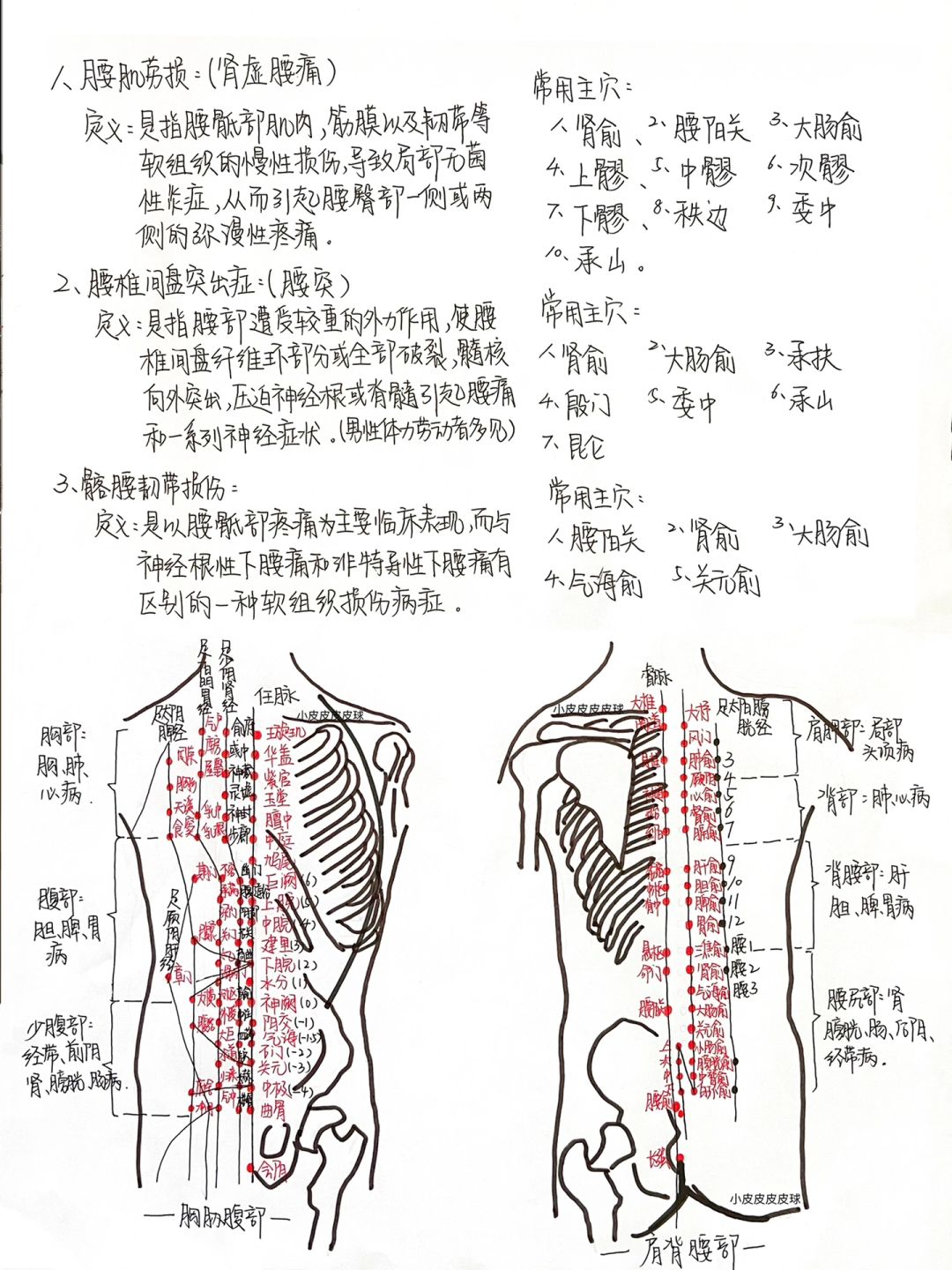 腰疼星人自救指南|放在一起看真的很清晰！