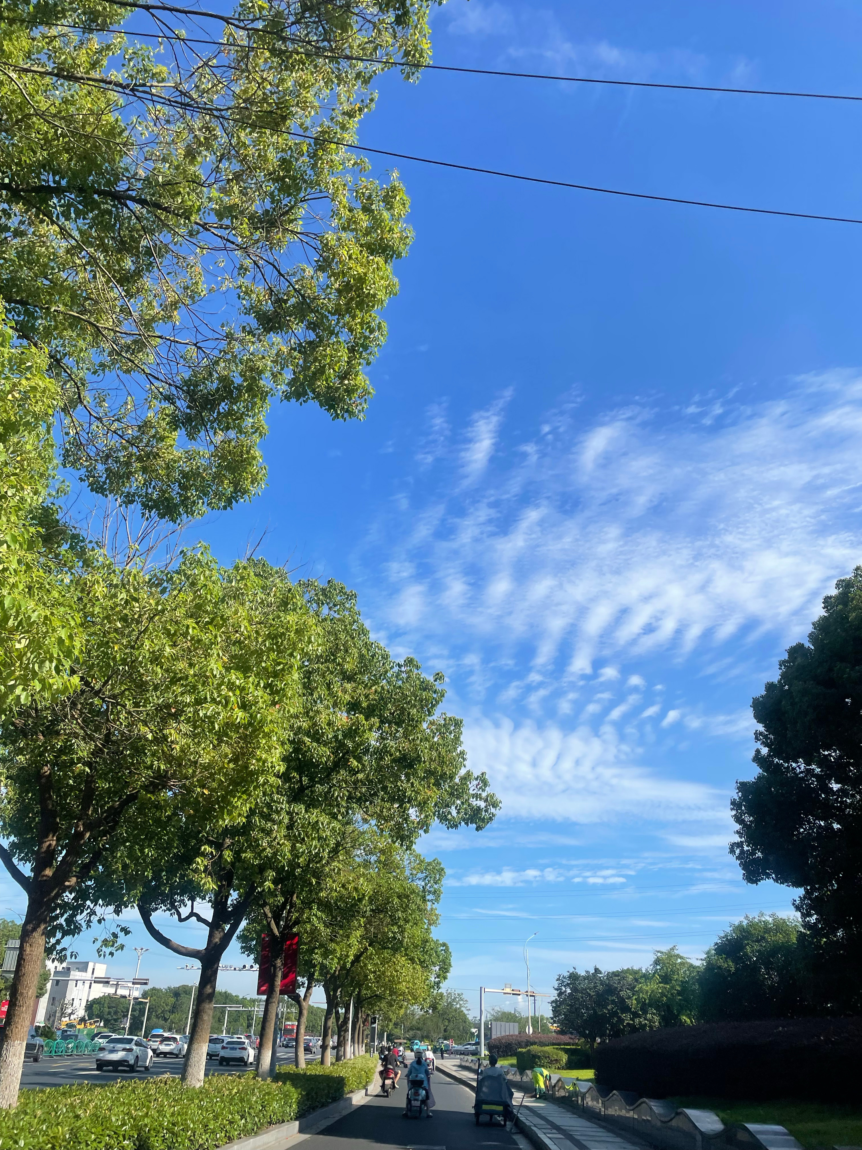 天气预报37度☀️实际不止 