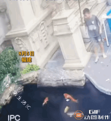 看到福建这孩子救狗的视频，我眼泪都快出来了。孩子发现狗狗掉进鱼塘，啥都没想直接就