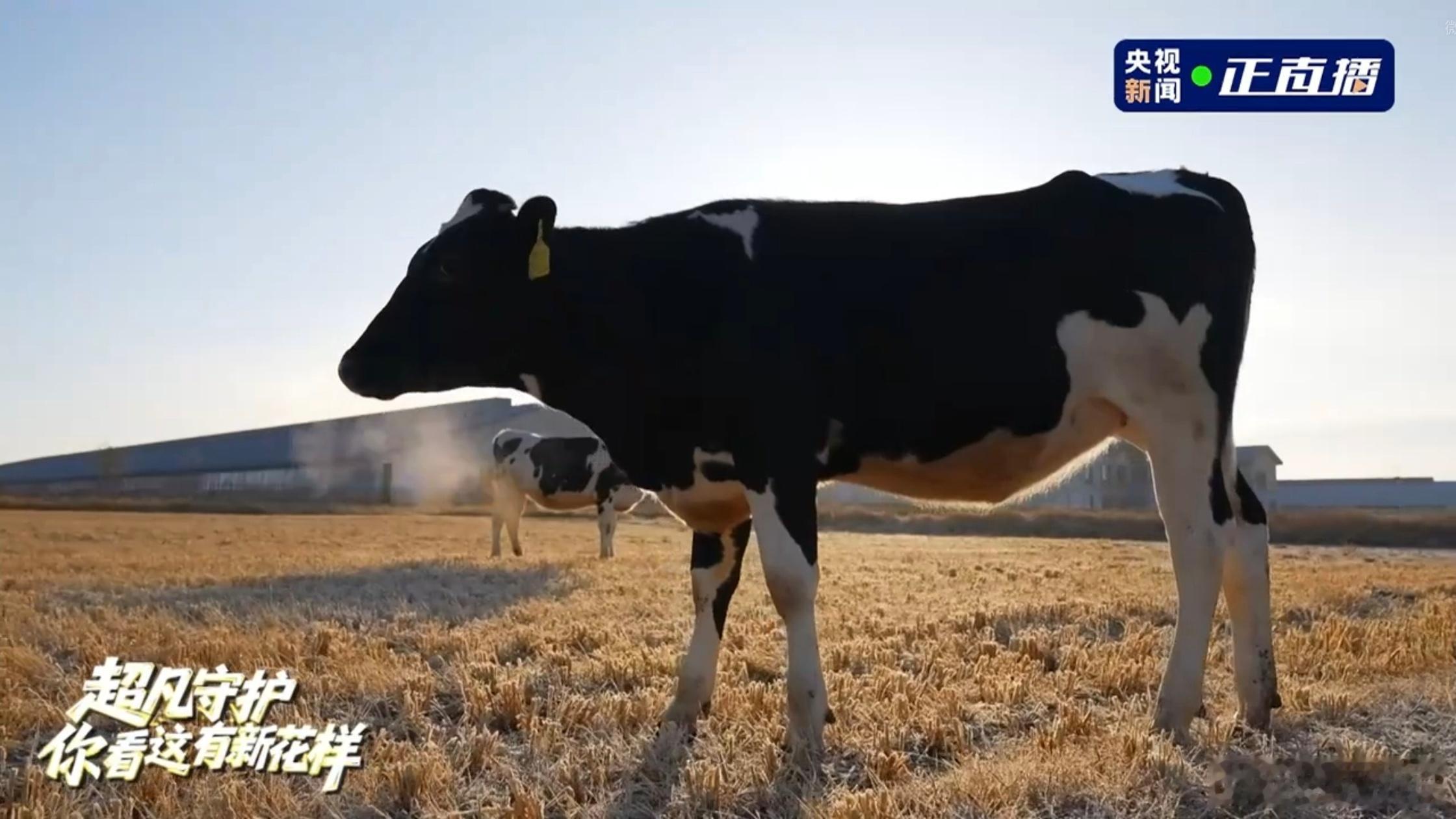 尼又在搞什么新花样  中国的企业就要使用这样的直播方式，让大家都能了解到整个生产