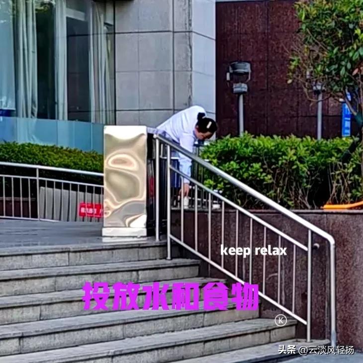 人民医院门口，不知道什么时候来了一只流浪狗。狗子已经在这里徘徊了好几天，毛发看起