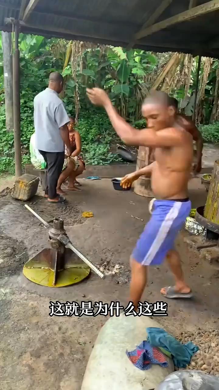 这就是为什么这些工人榨棕榈油时明明有更省力的机器，现场却还要两个壮汉抱着一根几米