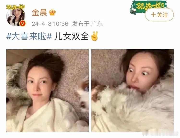金晨是不是在内涵胡夏[doge] ​​​
