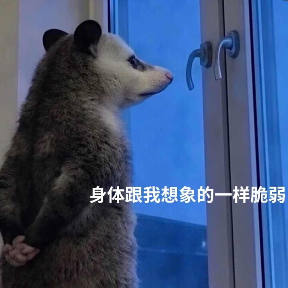 北京大屏被球球球球球球球球球占领了北京手痒党请举手国庆逛北京，看完天安门别急着走