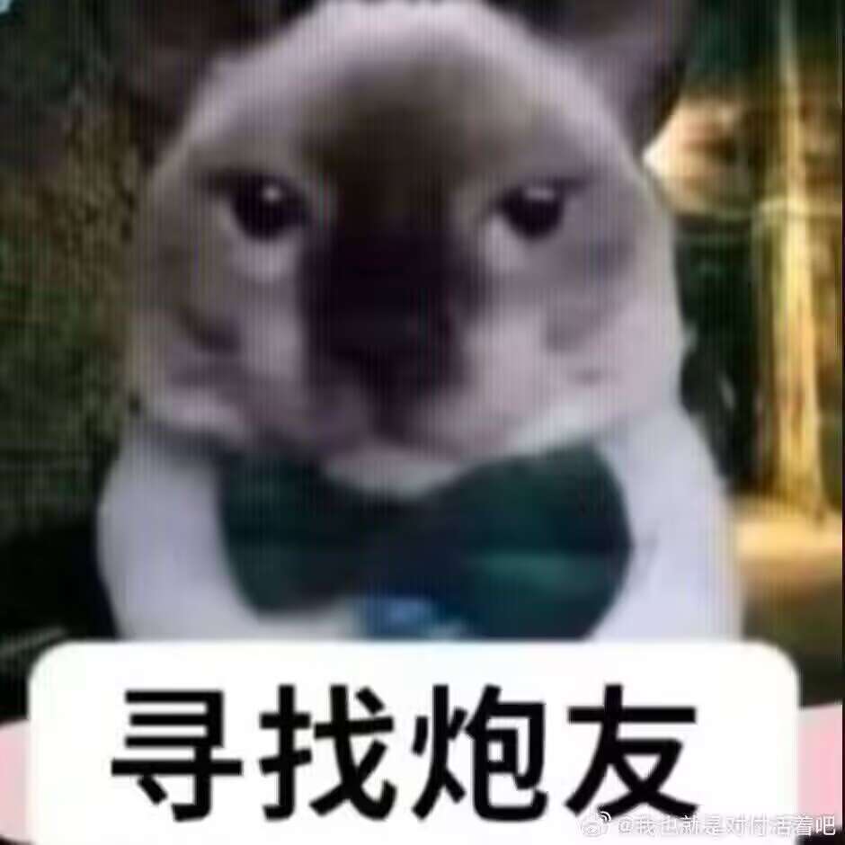 找炮友，要求：擅长尺规作图熟练标记战略地图位置记忆力超群熟练操作车床忠诚于卡斯蒂