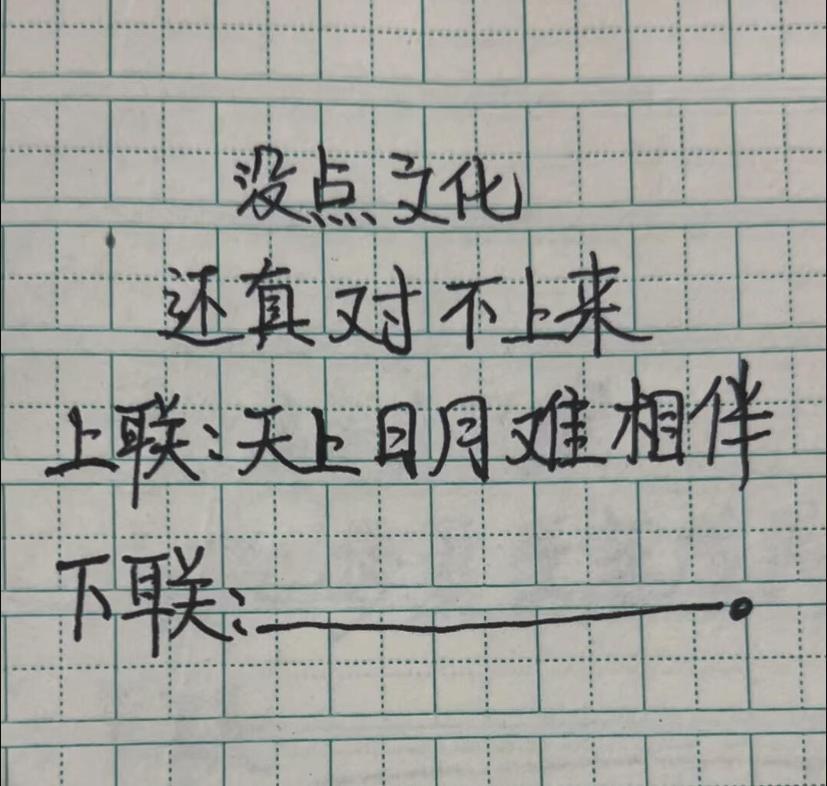 肚子里没点墨水还真对不上来。
上联：天上日月难相伴，下联你会如何接呢？