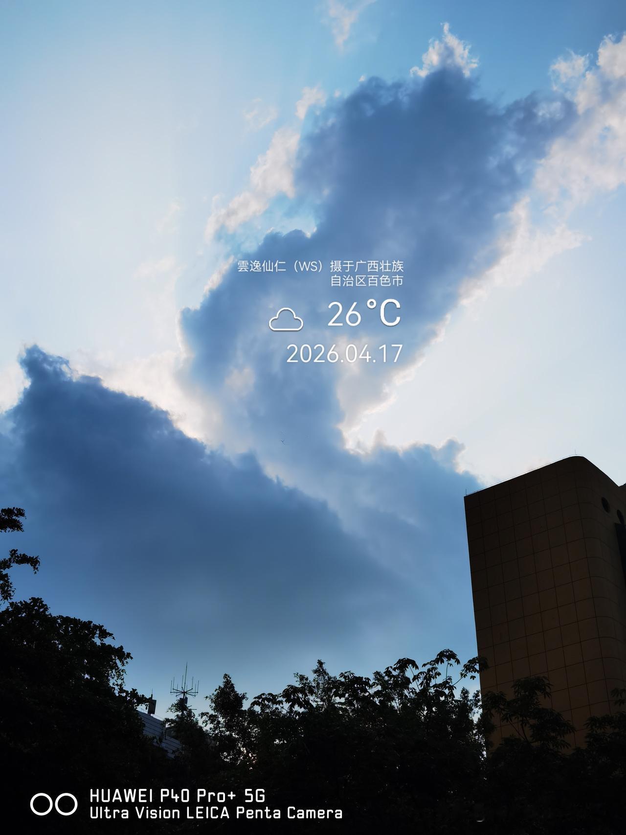 旅居生活记录（9499）广西壮族自治区百色市（184）：云画、内塌鼻、树形画、小