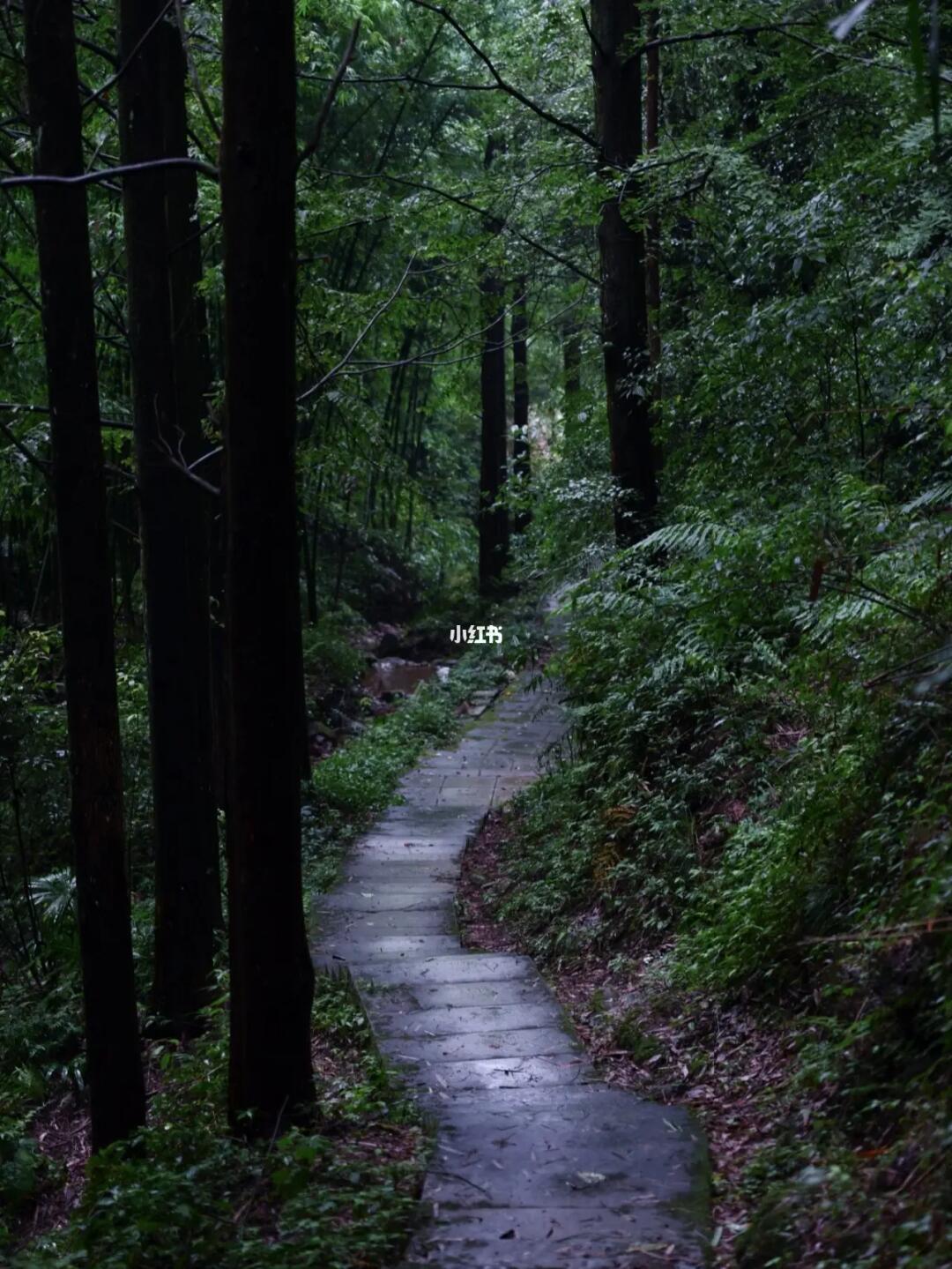 秋游入山去|不出大成都的隐秘文化爬山路线