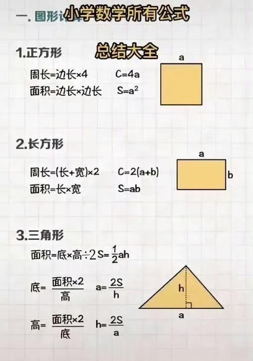 小学阶段把这些知识学会理、解、应用，数学基础就已经打牢固了，不用白白花冤枉钱去补