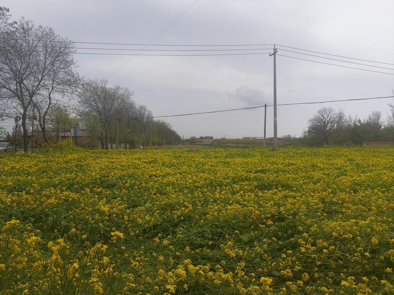 儿子说五一几个同学想来咱这玩，问我能不能住咱家。

我没让。
我说你们年轻觉得没