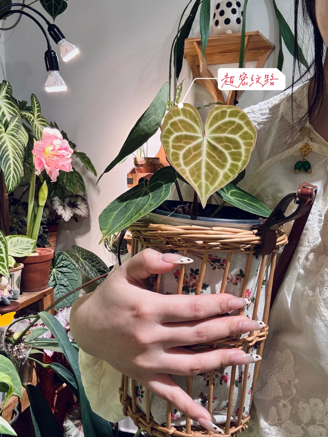 无锡热植展收获！