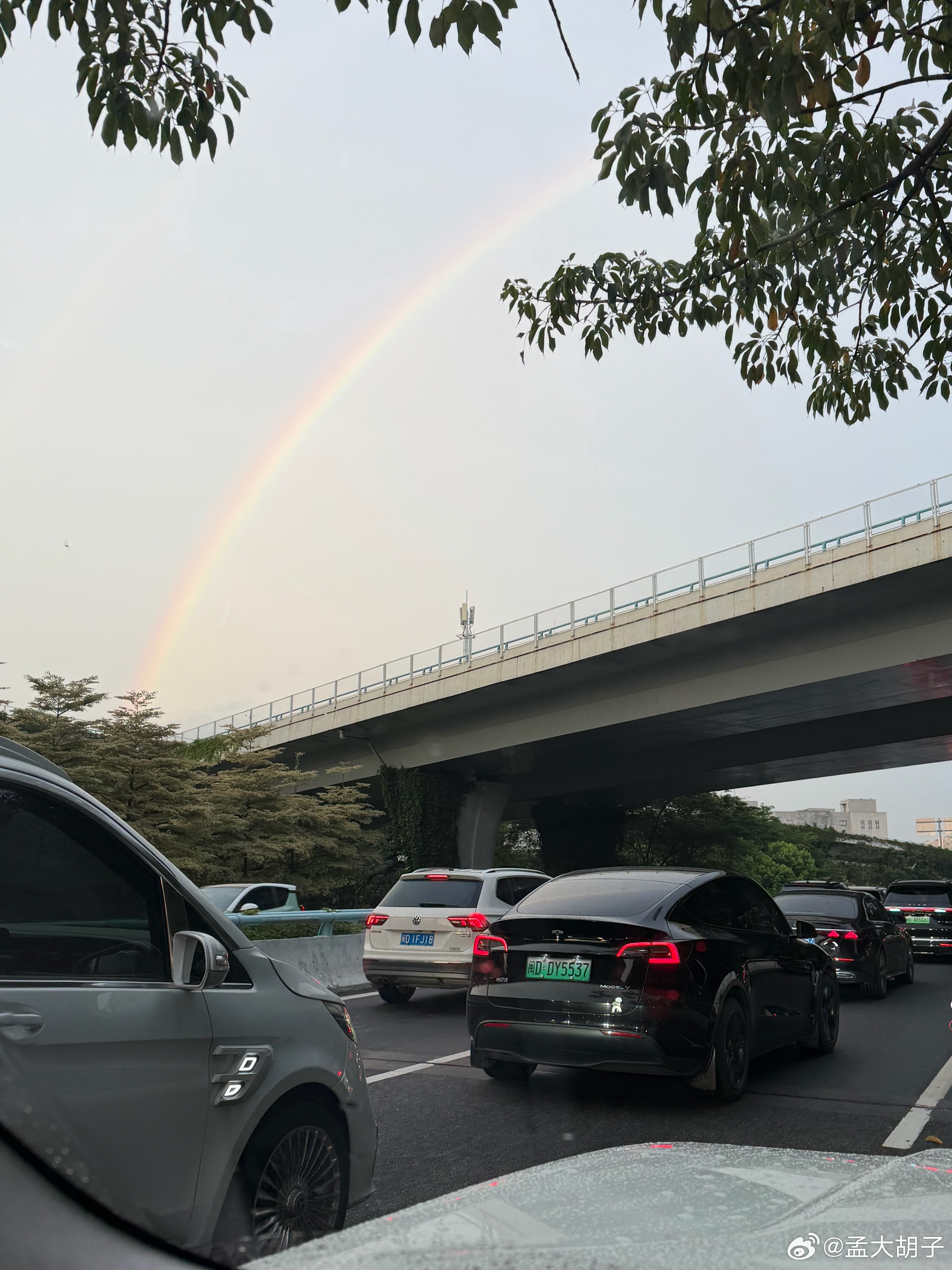 昨天雷暴，今天彩虹，厦门这座城市还是很会安慰人的