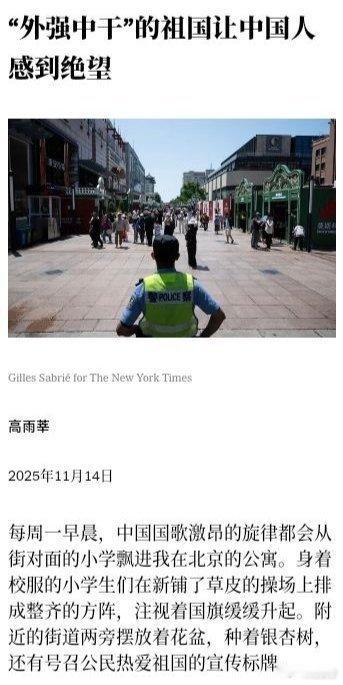 人大附中毕业，常驻北京的纽约时报专栏作家高雨莘发出的暴论：“中国在稀土供应链和加
