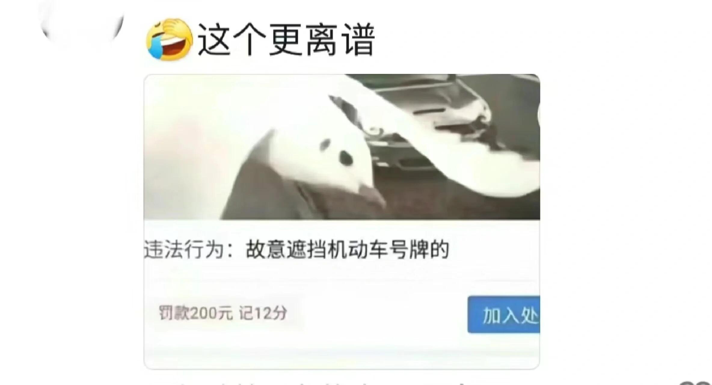 不知道要交多少钱….我的幽默灵感片场 ​​​