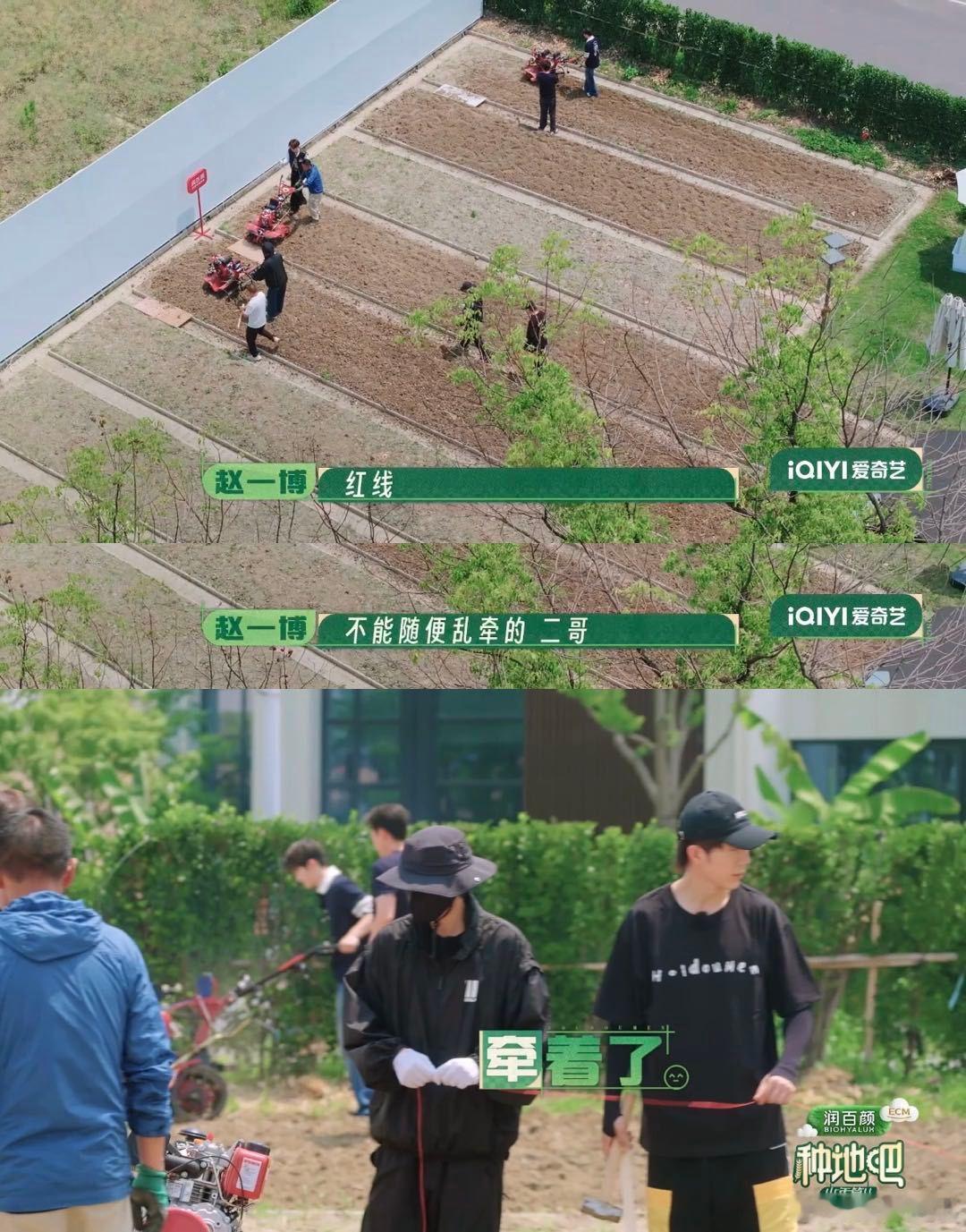 种地吧玫瑰入新园种地吧前脚认真开完玫瑰种植讨论会，后脚十个勤天全员扛起农具奔赴田