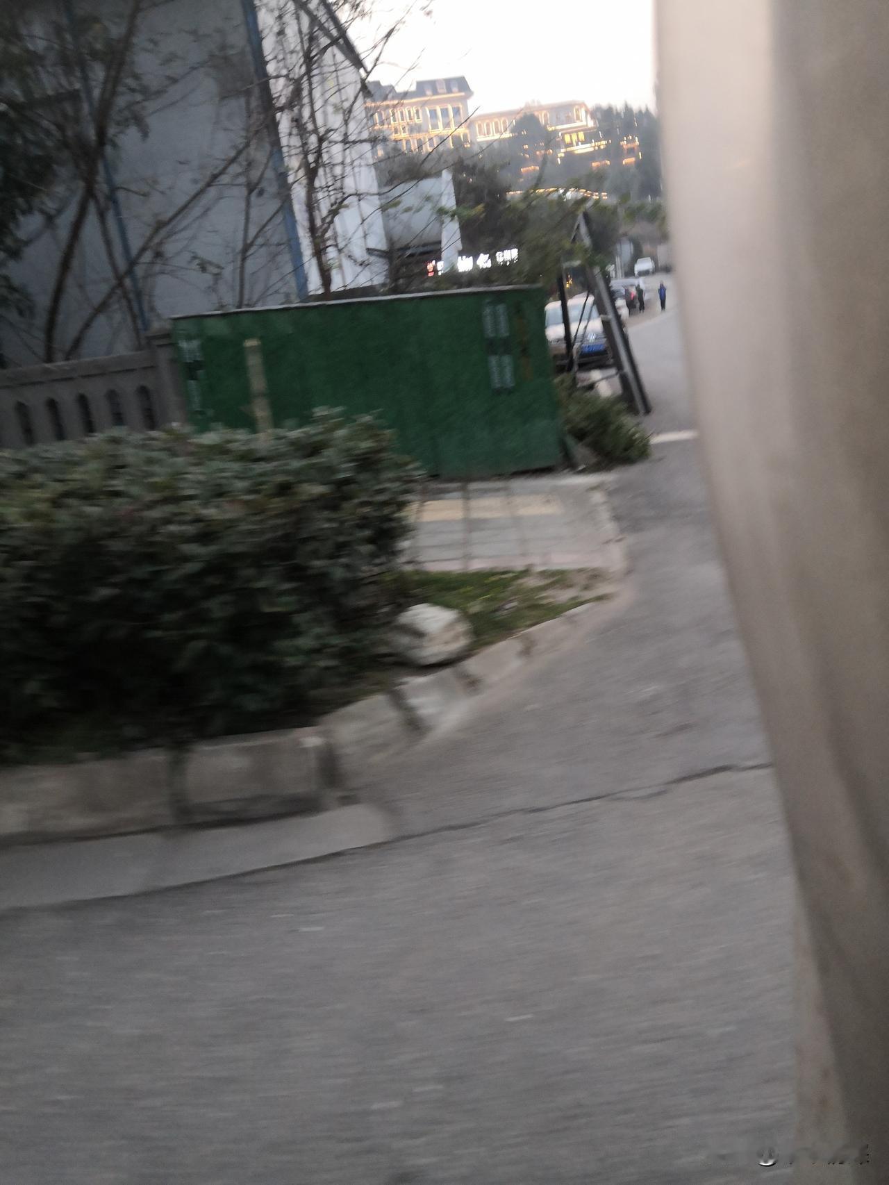 时间过得真快，已经年过半百多了，现在想吃红薯，可农村里面还是很少有人种红薯，特别