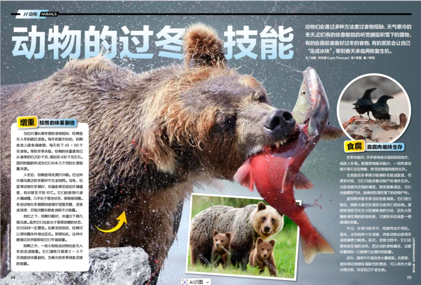 《好奇少年》4月刊——前沿科学、基础学科