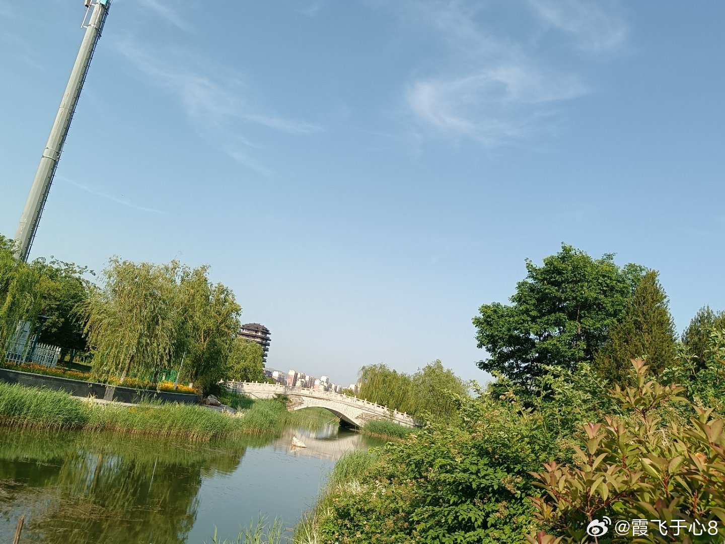 手机摄影 夏日好风光美好无限诗意绵绵 