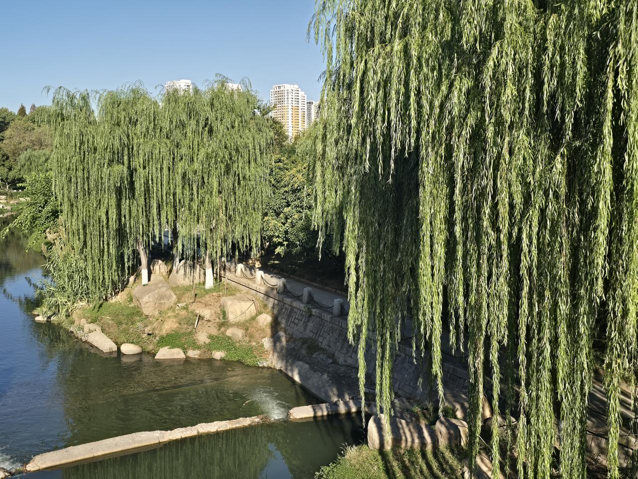 王铎：美丽的青岛海泊河公园
