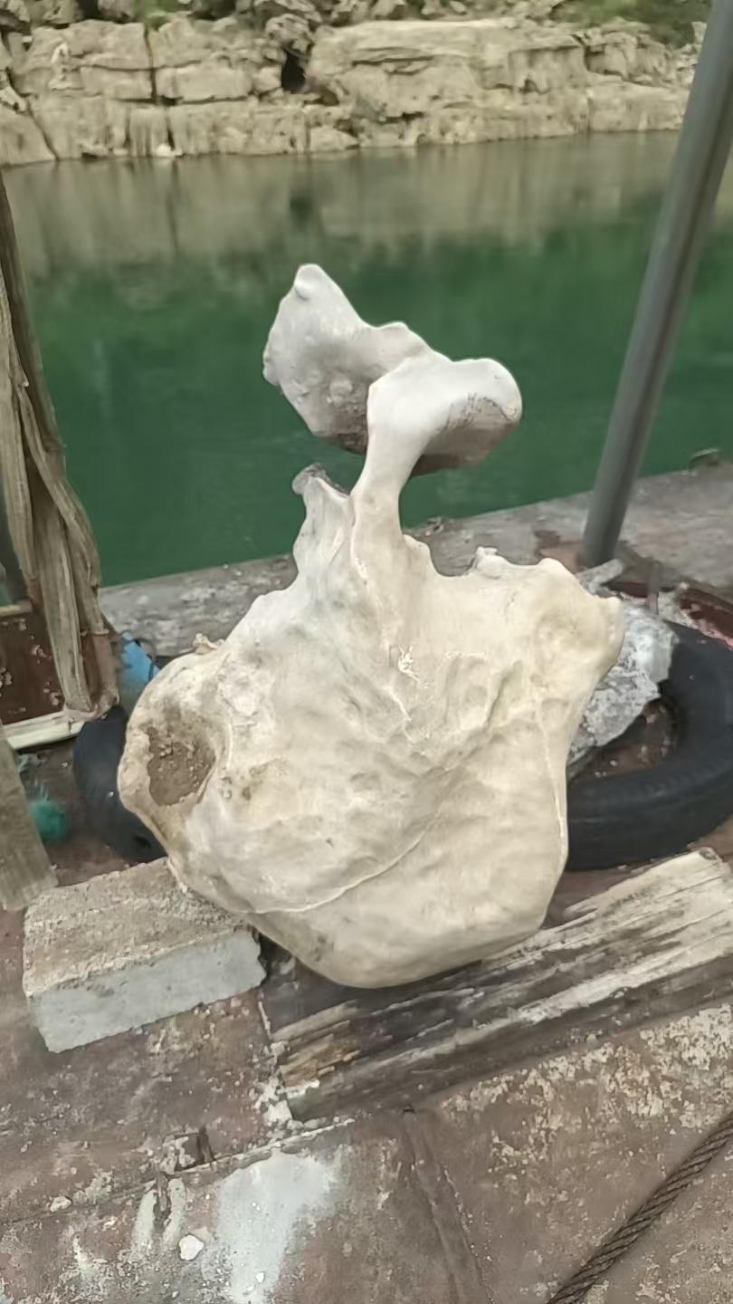 刚出水的北丹石[送自己一朵花]