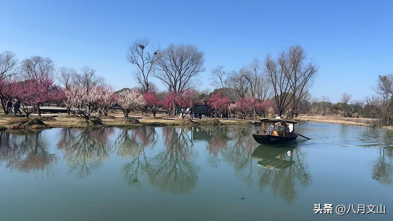 很多人天天累死累活，工资却总不见涨，不是你不够努力，而是根本没搞懂钱是怎么来的。