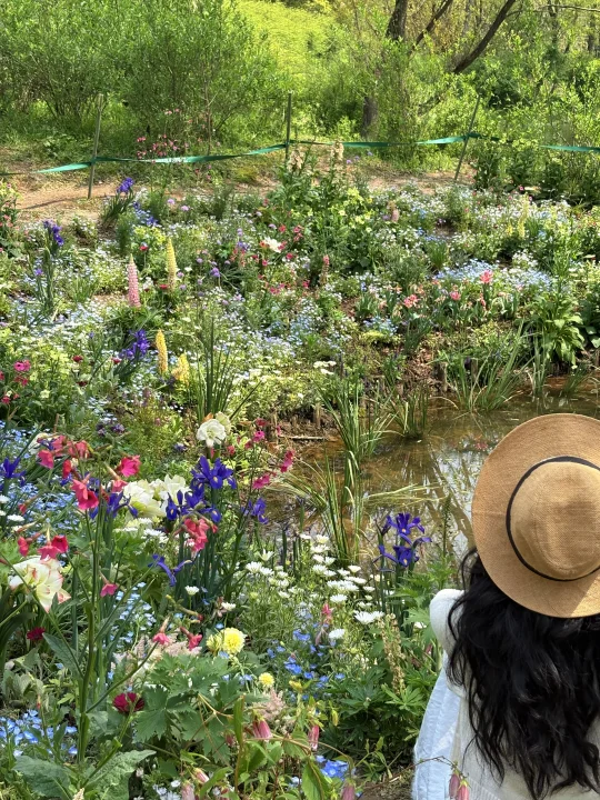 🌿 西溪湿地免费赏花美到窒息！根本不用门票