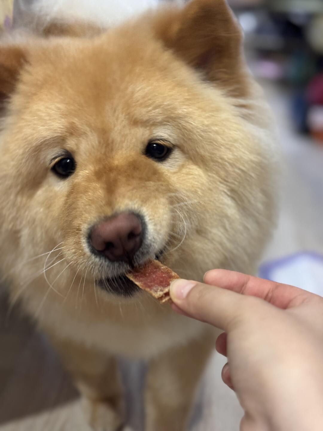 小豆洗香香了