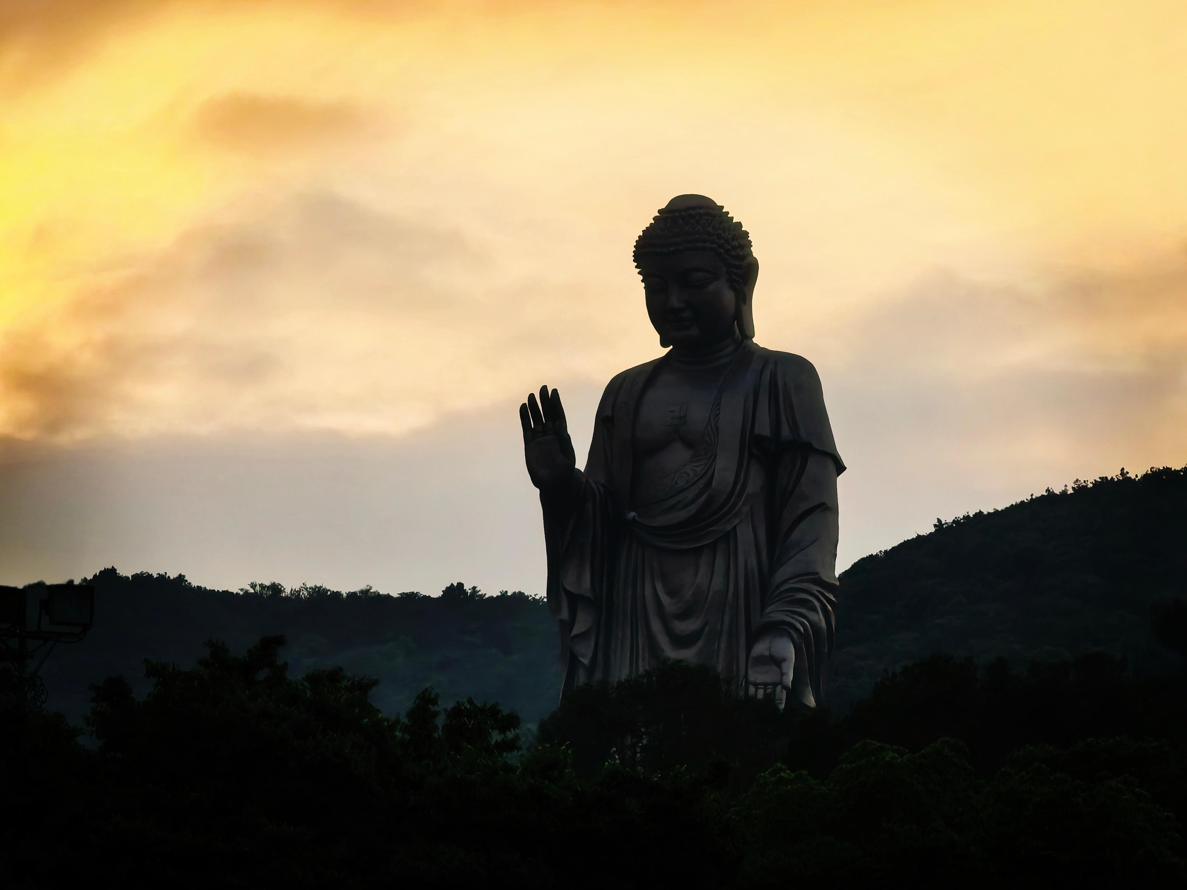 善良是刻在骨子里的光。经历风雨不改温柔，命运自会悄悄奖励你。这一生最对的选择，就