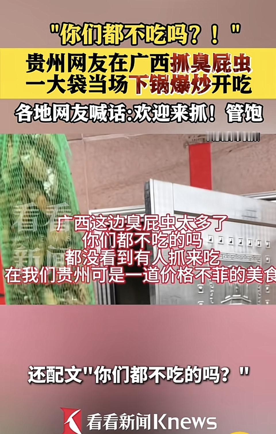 贵州网友在广西抓臭屁虫当美食这事儿，真是让人惊掉下巴！广西没人吃的臭屁虫，在贵州