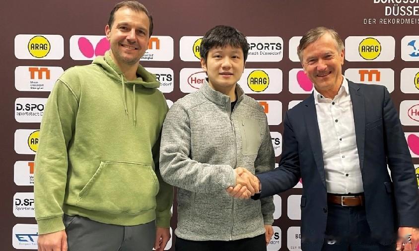 相信很多球迷都看到了，在德甲乒乓球联赛的赛场上，樊振东为杜塞尔多夫萨俱乐部拿到非