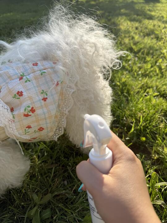 ‼️毛孩夏日必备