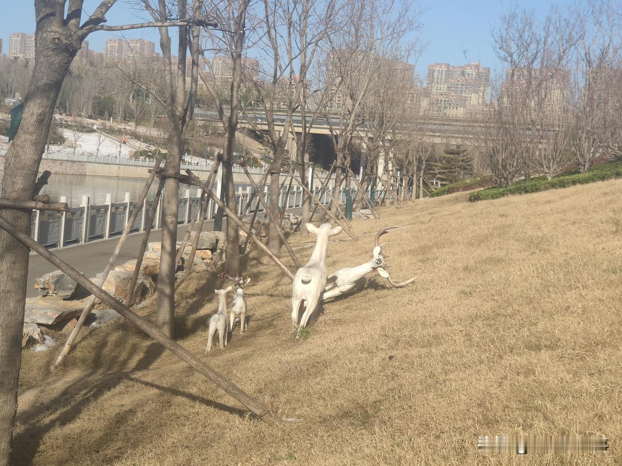 贾鲁河边上的梅花鹿倒下了！有市民惋惜:后期维护不及时跟上会好景不长！
今天上午，