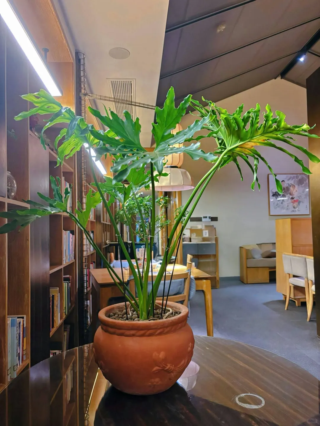 🌿 环境： 环境优美的西溪湿地公园内，店里古色古香，古董、文墨字画...