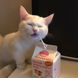 桃纹爱谈美女