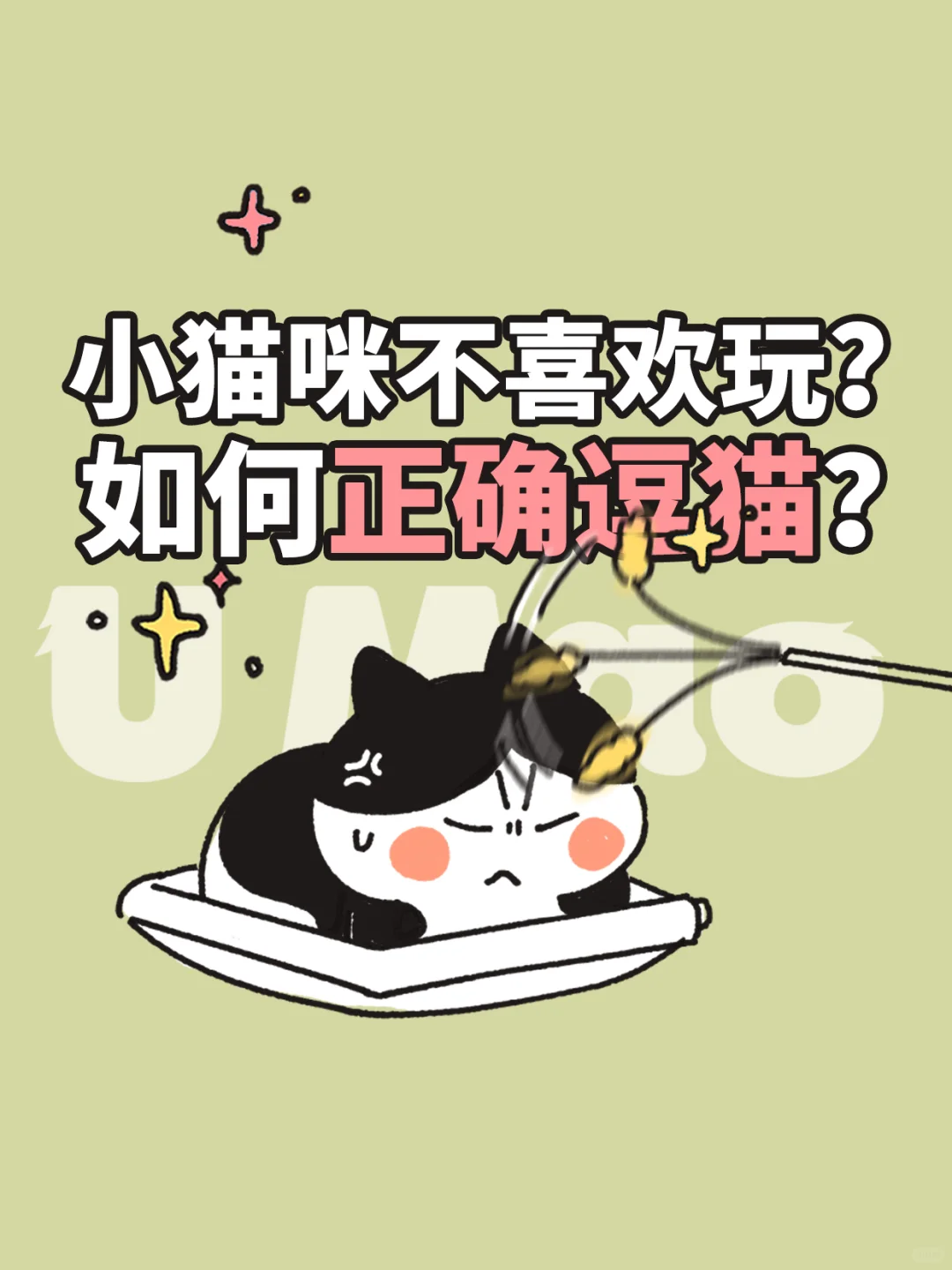 世上没有不喜欢玩的小猫咪！是逗猫姿势错了