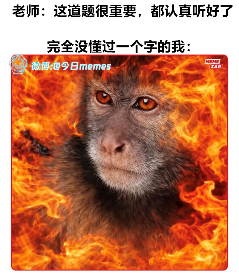 已严肃今日meme今日memes