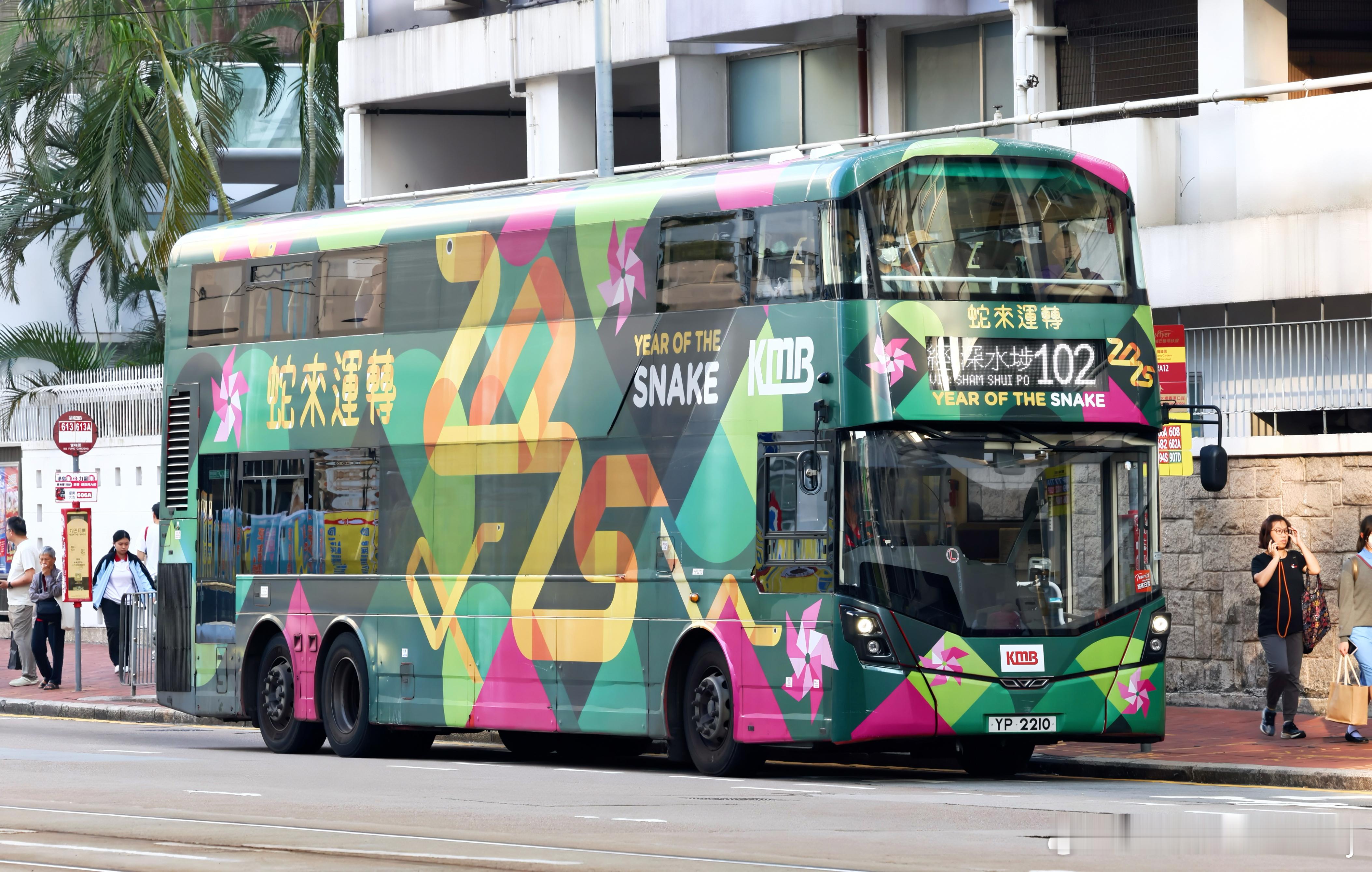 2025 蛇来运转🐍 