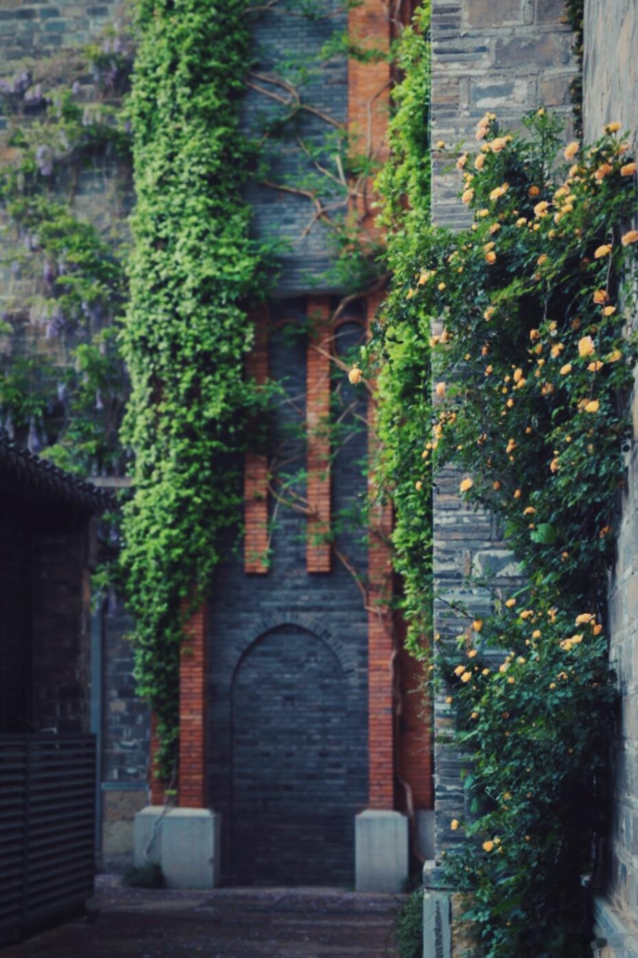 春风渐老，花香未减，时光清浅，岁月安然～ 