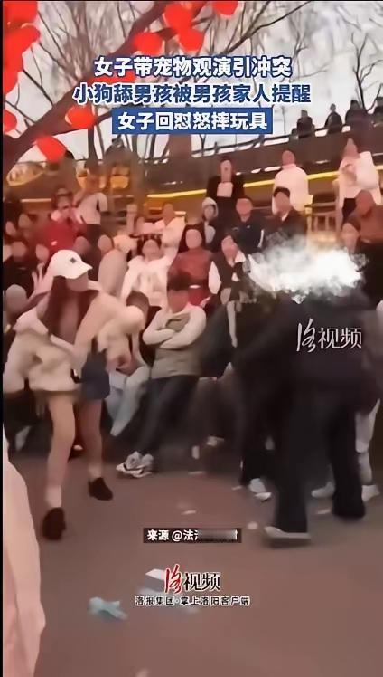 现场发飙！小狗当众舔人还倒打一耙，女子摔玩具激化矛盾，到底谁是谁非？
 
公共场